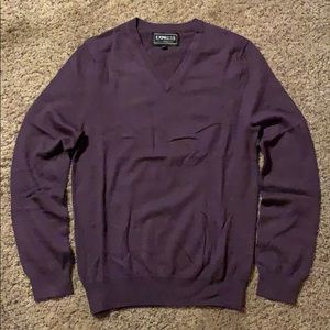Express Italian Merino Wool V-Neck Sweater, Small